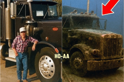 Truck Driver Vanished in 1992 — 20 Years Later, Divers Make a Chilling Discovery… | HO!!!!