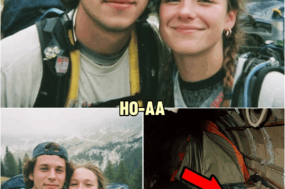Touristen Verschwanden 2003 in den Alpen — Nach 12 Jahren Fand man ihre Sachen im Alten Bunker | HO!!!!