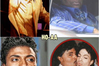 Little Richard Died 5 Years Ago, Now Family Confirms The SHOCKING Rumors | HO!!!!