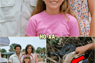 Girl Vanished in Everglades in 1986 — Years Later Hunter Finds HORROR in Snake Den… | HO!!!!