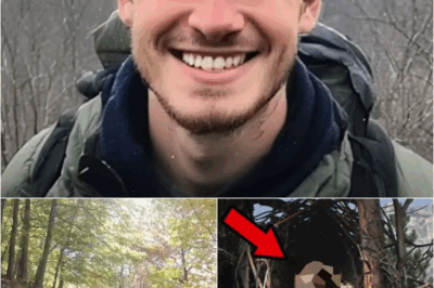 Tourist Vanished in Appalachians — 5 Years Later Skull Found in Crow’s Nest on a Branch… | HO!!!!