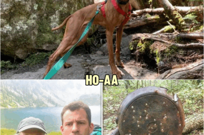 Mother and Son Vanished in Adirondacks, 2 Years Later a Hunter’s Dog Digs This Up… | HO!!!!