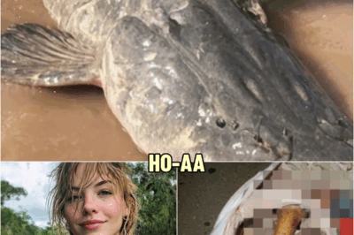 Hiker Vanished in Congaree — 5 Years Later Remains Found Inside Giant Catfish | HO