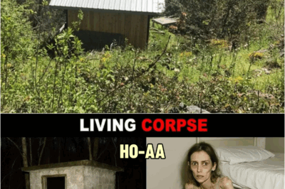 POLICE stumbled upon a cabin in the woods. Behind a wall, they found a GIRL held captive for 6 weeks | HO