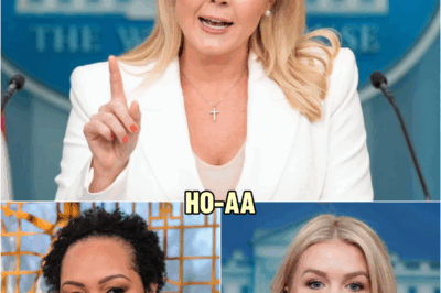 ‘That’s Ridiculous,’ Karoline Leavitt CUTS OFF NBC Reporter Over Outrageous Question — No Room for Nonsense!” In a tense, must-see moment, Karoline Leavitt didn’t hesitate to shut down an NBC reporter who dared ask a ‘ridiculous’ question | HO~