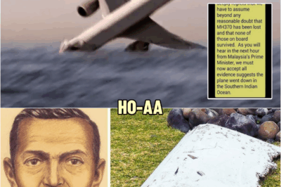 Passenger’s Final Message from MH370 Was Finally Decoded, And It’s Terrifying | HO!!