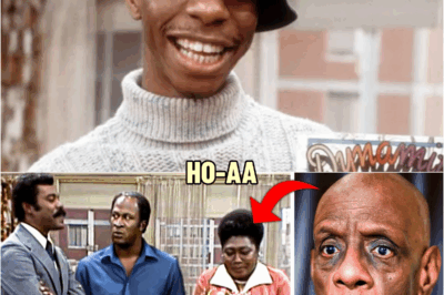 Jimmie Walker Finally Reveals What Most Fans Missed About Good Times | HO