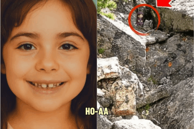 Girl Vanished on a Hiking Trip, 4 Years Later What Was Found Still Shocks Investigators to This Day… | HO