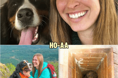 Woman Vanished Hiking in Montana, 6 Years Later This Is Found in Chimney of Remote Cabin… | HO!!!!