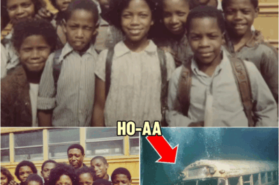 A School Bus Vanished in 1985 — 12 Years Later Divers Made a Chilling Discovery Underwater | HO!!!!
