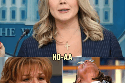 “Who got the last laugh now” The View CANCELLED without warning after final strike from Karoline Leavitt – Joy Behar breaks down live as staff abandon set and network execs race to contain the fallout | HO~