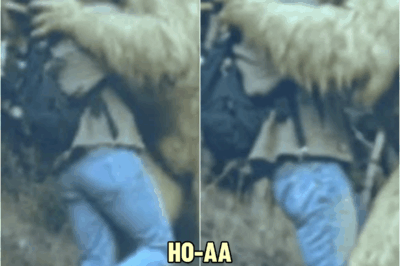 Ranger Reveals the TRUTH about KIDNAPPING tourists in Great Smoky Mountains | HO!!!!
