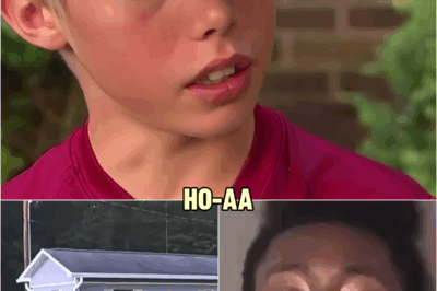 Burglar breaks in when 11 year-old is home alone, so he takes matters into own hands | HO!!!!