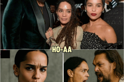 After 1 Year, Zoe Kravitz Confirms Why Her Mother Divorced Jason Momoa | HO!!!!