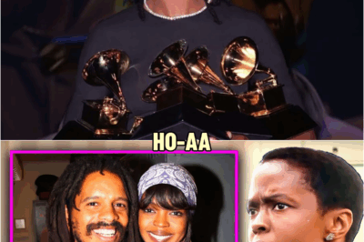 Lauryn Hill Finally Exposes Who Ruined Her Career | HO’