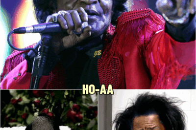 No One Believed James Brown Was Murdered… Until The FBI Found Evidence Lost For Years | HO!!