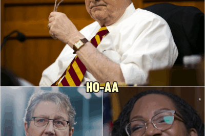 Judge JACKSON Interrupts KENNEDY 3 times With LAUGHTER — After 4th time, He’s Left Speechless | HO~