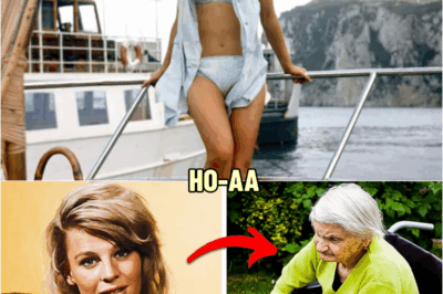 Remember Julie Christie? How She Lives At 85 Is So Sad.. | HO!!