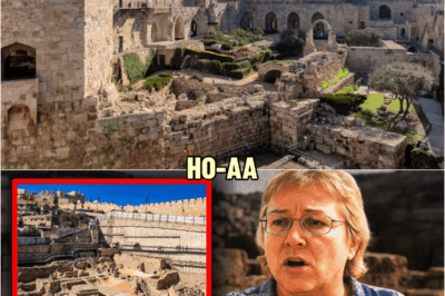 ‘Before I Die, Please Listen!’ Eliat Mazar’s Discovery of City of David Reveals The Shocking Truth | HO!!
