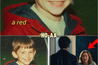 Boy Disappears at the Playground, 12 Years Later He Knocks on His Mother’s Door | HO