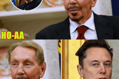 Oracle’s Ellison Briefly Tops Musk As World’s Richest