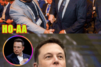 Population Collapse PART 2: Tim Pool & Elon Musk WARN Of Coming Depression, Social & Economic CRISIS