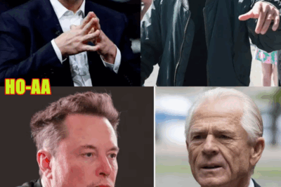 “‘Clean up cesspool’: Peter Navarro Slams Elon Musk’s X, Calls It a ‘Breeding Ground for Dark Forces’”