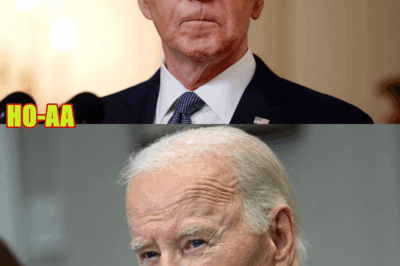 Tom Homan: ‘I don’t know what the hell the Biden administration was thinking