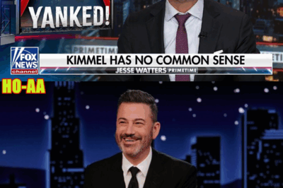 Watters: Jimmy Kimmel Has No Common Sense