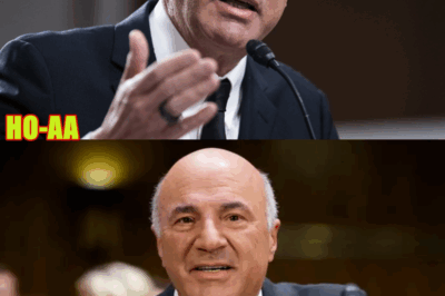 ‘THIS IS NEVER COMING BACK’: Kevin O’Leary Delivers Bad News on MAJOR US Industry