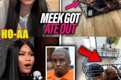 Nicki Minaj REVEALS What Diddy DID To Meek Mill At Secret Party