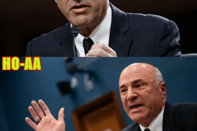“He’s NOT Dropping Out”: O’Leary Drops Bombshell on NYC