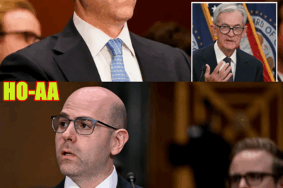 Fed’s Stephen Miran Admits His Colleagues Are Hung Up on Trump’s Tariffs