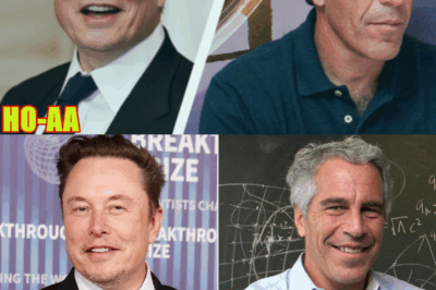 Elon Musk Mentioned in New Jeffrey Epstein Files