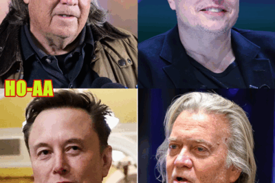 Elon Musk, Steve Bannon Named in BOMBSHELL Epstein Files