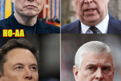 Elon Musk Was Invited to Epstein’s Island, According to New Documents