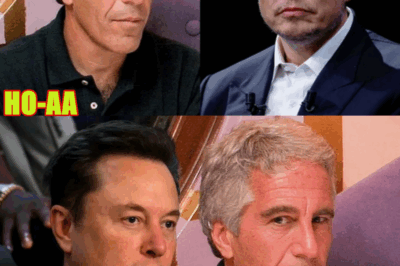 Elon Musk Planned Trip To Epstein’s Private Island, Newly Released Documents Show
