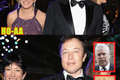 Elon Musk is in the Epstein Files