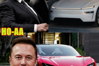 Tesla Just Released a Huge New Product
