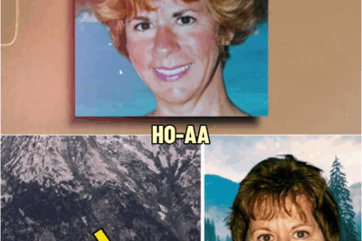 Hiker Vanished on a Trail in 45 Seconds…18 Years Later, It Remains a Mystery | HO!!!!