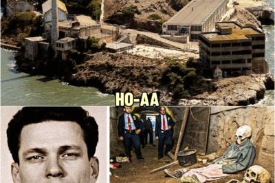 Scientists JUST Discovered Lost Alcatraz Tunnels… And It Was Worse Than We Thought | HO!!!!