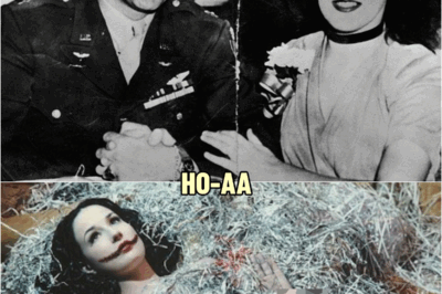 Black Dahlia Mystery Finally Solved And It’s Not Good | HO!!