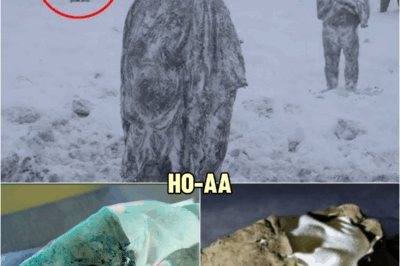 UNBELIEVABLE: Archaeologists Uncover A 1,500-Year-Old Moccasin Preserved In Ice | HO!!