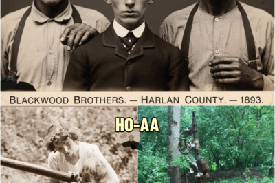 The Necrophiliac Brothers, 1893 – A Macabre Secret in the Family’s Well of Kentucky (BANNED STORY) | HO!!
