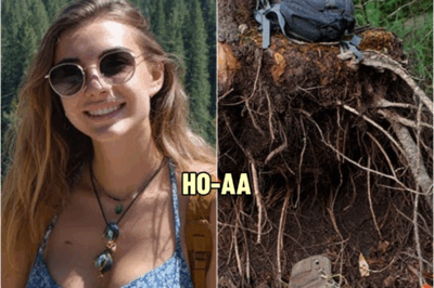 Hiker Vanished in Alaska Forests — 5 Years Later She Was Found Beneath Pine Roots… | HO