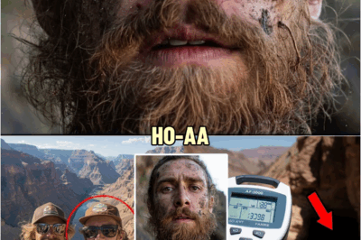 Two Tourists Vanished in Grand Canyon — 5 Years Later One Returned and REVEALED a TERRIBLE SECRET | HO