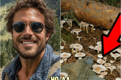 Tourist Vanished in Colorado in 1994 — 7 Years Later Found UNDER TREE, Mushrooms Growing Around… | HO