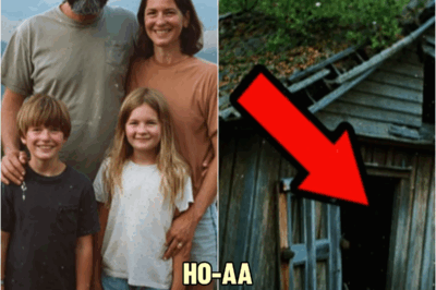 Family vanished in the Rocky Mountains — 15 years later found in an OLD CABIN with a TERRIBLE SECRET | HO