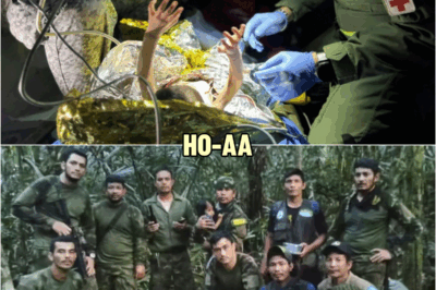 40 Days, 4 Children And How They Survived Inside Amazon Forest | HO