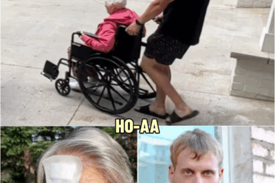 Grandmother Kept ‘Falling Out Of Wheelchair.’ Grandson Calls Police After Seeing CCTV Footage | HO